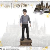 Harry Potter Life-Size statue 1/1 Harry Potter 174 cm | MUCKLE MANNEQUINS