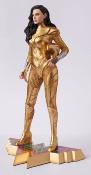 DC Comics statue Wonderwoman 26 cm | MUCKLE MANNEQUINS