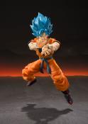 DRAGON BALL S.SAIYAN GOD SS GOKU S.H Figuarts | Tamashii Nations