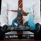 Harry Potter 1/6 Harry Potter Ikigai | Tsume Art 