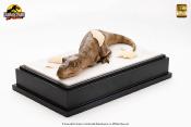 Jurassic Park statuettes Hatching T-Rex | ELITE CREATURE COLLECTIBLES
