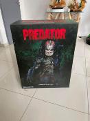 Predator Jungle Hunter Regular | Sideshow