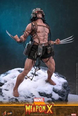 Marvel Comic Masterpiece - Weapon X (Wolverine) 1/6 (31 cm) - Hot Toys