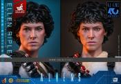 Aliens Ellen Ripley Artisan Edition Figurine 1/6 30cm Hot Toys Movie Masterpiece Sigourney Weaver
