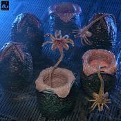 Aliens Set d'accessoires Alien Eggs 40th Anniversary | NECA