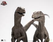 Elite Creature Collectibles Jurassic Park III Pair of Velociraptors Statuette 1/8 30 cm