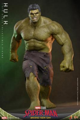 Hot Toys Marvel Hulk 1/6 51cm