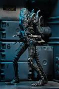 Aliens Figurine Ultimate Alien Warrior Blue 1986 23 cm | NECA