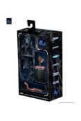 Aliens Figurine Ultimate Alien Warrior Black 40th Anniversary 23 cm | NECA