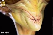 Mantis Overseer by Steve Wang buste 1/1 63 cm | Elite Creature Collectibles 