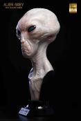 The Dulce Wars buste 1/1 Alien Grey 61 cm | ELITE CREATURE COLLECTIBLES