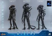 Aliens Alien Warrior V2 MMS898 Figurine 1/6 39cm Hot Toys Movie Masterpiece