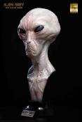 The Dulce Wars buste 1/1 Alien Grey 61 cm | ELITE CREATURE COLLECTIBLES