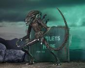 Aliens Figurine Ultimate Alien Warrior Brown 1986 23 cm | NECA