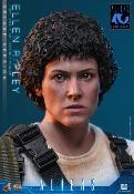 Aliens Ellen Ripley Deluxe Version MMS895 Figurine 1/6 30cm Hot Toys Movie Masterpiece Sigourney Weaver Newt Accessoires Bonus