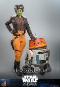 Star Wars: Ahsoka figurine 1/6 Hera Syndulla 28 cm | HOT TOYS