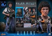 Aliens Ellen Ripley Deluxe Version MMS895 Figurine 1/6 30cm Hot Toys Movie Masterpiece Sigourney Weaver Newt Accessoires Bonus