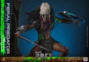 Prey figurine 1/6 Feral Predator (Battle Damaged Version) 37 cm | HOT TOYS