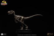 Jurassic Park statuette 1/8 Velociraptor Skeleton Bronze 24 cm | ECC