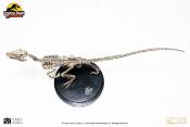 Jurassic Park statuette 1/8 Velociraptor Skeleton Bronze 24 cm | ECC