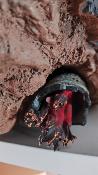 Hulk 1/4 Maquette Marvel Statue | Sideshow