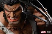 Wolverine 1/1 Bust Life-Size Marvel | Iron Kite Studio