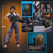 Aliens Ellen Ripley Deluxe Version MMS895 Figurine 1/6 30cm Hot Toys Movie Masterpiece Sigourney Weaver Newt Accessoires Bonus