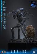 Aliens Alien Warrior V2 Deluxe Version MMS899 Figurine 1/6 39cm Hot Toys Movie Masterpiece Accessoires Bonus