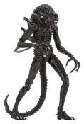Aliens Figurine Ultimate Alien Warrior Brown 1986 23 cm | NECA