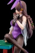 The Demon Sword Master of Excalibur Academy statuette 1/6 Elfine Phillet wearing flower's purple bunny costume with Nip Slip Gimmick System 17 cm | Nippon Columbia