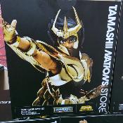Saint Seiya lot de 5 Myth Cloth EX New Bronze Cloth Golden Limited Edition exclusivite Tamashii Nations Store - Depot-Vente | BANDAI TAMASHII NATIONS