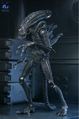 Aliens Figurine Ultimate Alien Warrior Black 40th Anniversary 23 cm | NECA