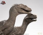 Elite Creature Collectibles Jurassic Park III Pair of Velociraptors Statuette 1/8 30 cm
