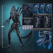 Aliens Alien Warrior V2 MMS898 Figurine 1/6 39cm Hot Toys Movie Masterpiece