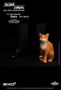 Star Trek: The Next Generation figurine 1/6 Lt. Commander Data (Standard Version) 30 cm | EXO-6