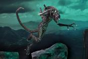 Aliens Figurine Ultimate Alien Warrior Brown 1986 23 cm | NECA
