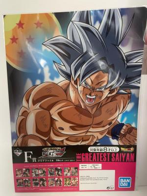 ICHIBAN KUJI CLEAR FILE  DBS 6