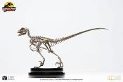 Jurassic Park statuette 1/8 Velociraptor Skeleton Bronze 24 cm | ECC