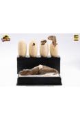Jurassic Park statuettes Hatching T-Rex | ELITE CREATURE COLLECTIBLES