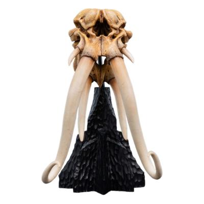 Le Seigneur des Anneaux statuette Skull of a Mumak 15 cm | WETA