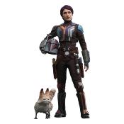 Star Wars Ahsoka Figurine 1/6 Sabine Wren 28cm Hot Toys