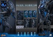 Aliens Alien Warrior V2 MMS898 Figurine 1/6 39cm Hot Toys Movie Masterpiece