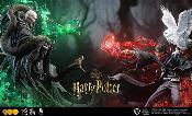 Harry Potter & Voldemort 1/4 Harry Potter Set Statue | MGL PALADIN TOYS