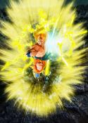 Son Goku Super Saiyan DBZ  Figuarts | Tamashii nations