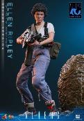 Aliens Ellen Ripley Deluxe Version MMS895 Figurine 1/6 30cm Hot Toys Movie Masterpiece Sigourney Weaver Newt Accessoires Bonus