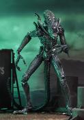 Aliens Figurine Ultimate Alien Warrior Blue 1986 23 cm | NECA