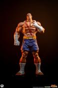 Street Fighter Street Jam statuettes 1/10 Sagat & Juli 24 cm | PCS