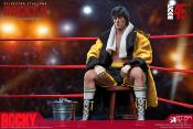 Rocky II statuette 1/6 Rocky Deluxe Version 30 cm | STAR ACE