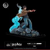 Harry Potter 1/6 Harry Potter Ikigai | Tsume Art 