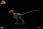 Jurassic Park statuette 1/8 Velociraptor Skeleton Bronze 24 cm | ECC